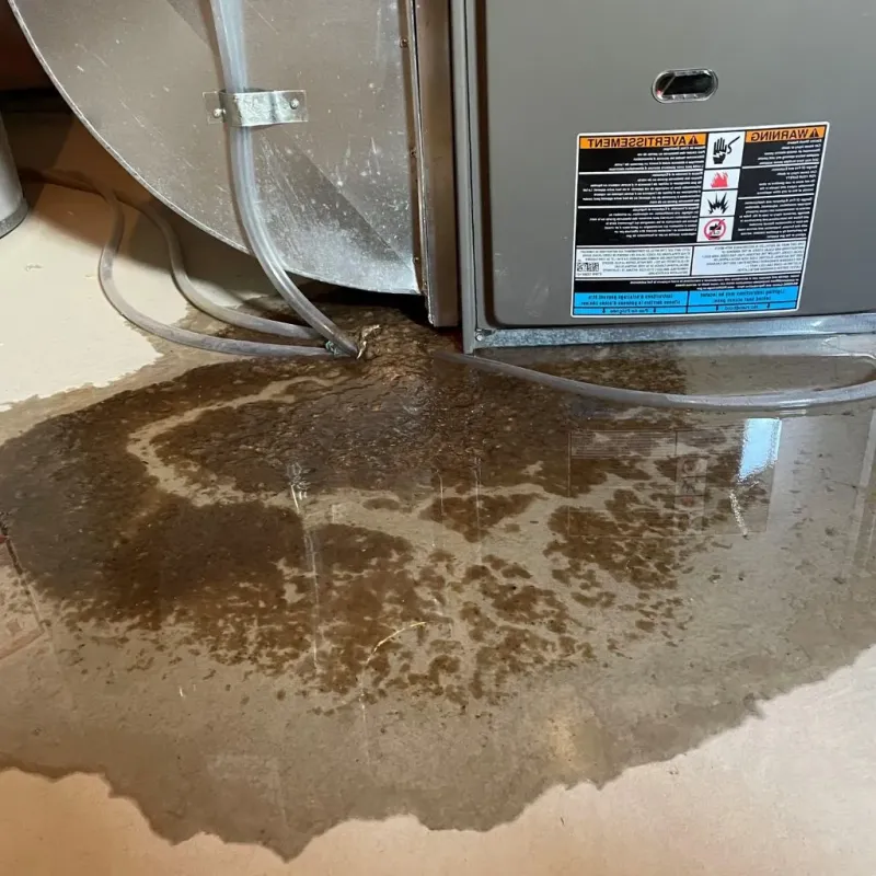 Pipe Burst and Leak Restoration in Freemansburg, PA